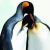 Profile picture of PenguinMan
