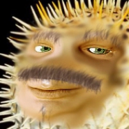 Profile picture of letspufferfish