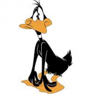 Profile picture of daffy duck