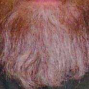 Profile picture of gray beard