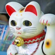 Profile picture of luckycat
