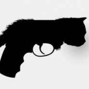Profile picture of Cat With A Gun