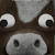Profile picture of Cow Lord