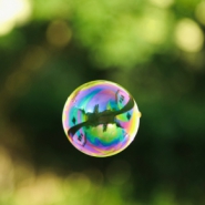 Profile picture of Tinted:Bubble