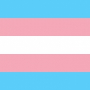Group logo of Transgenders